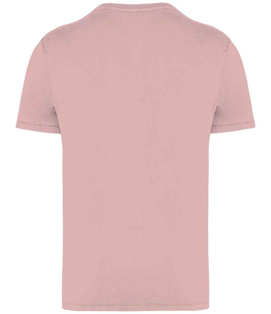 Native Spirit - Unisex Faded T-Shirt - Pierre Francis