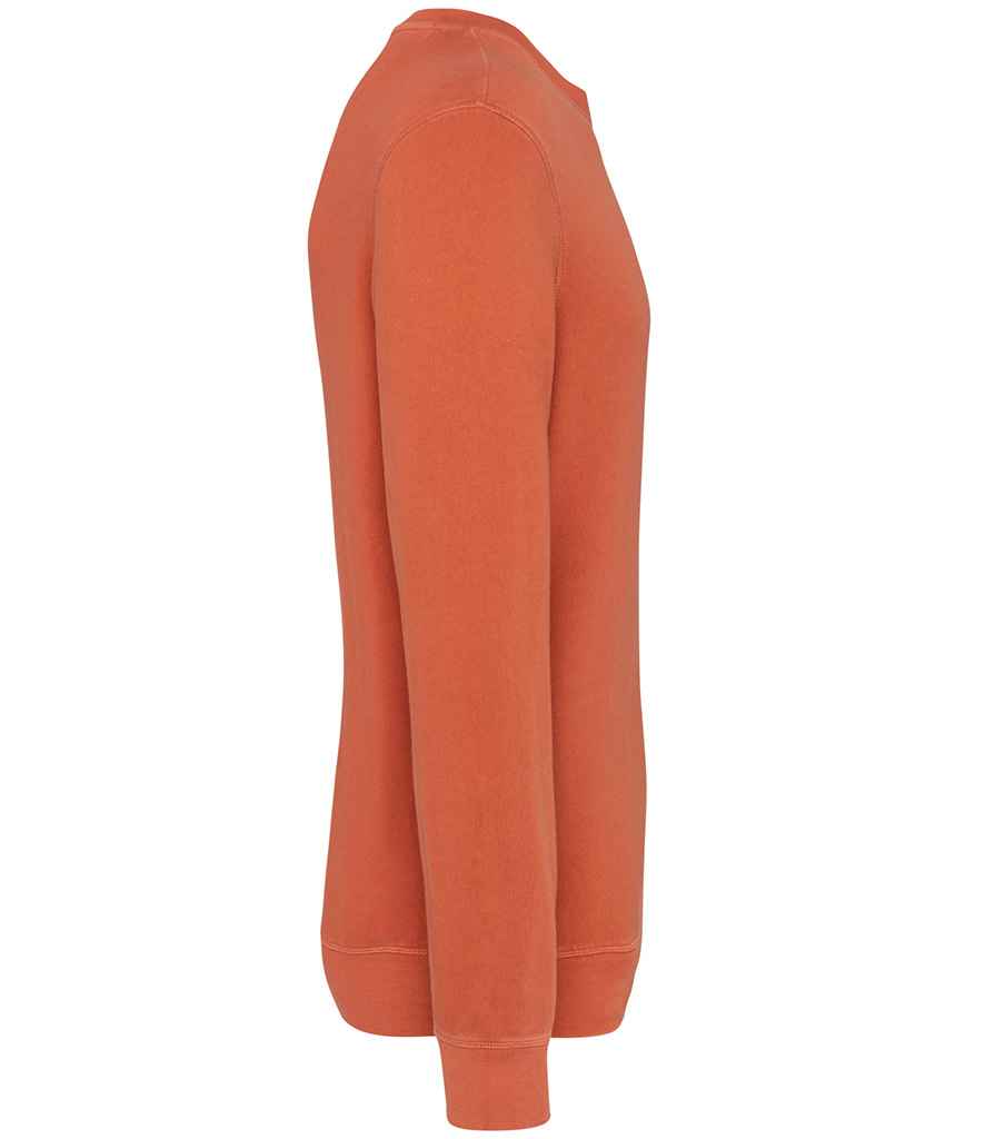 Native Spirit - Unisex Terry 280 Sweatshirt - Pierre Francis