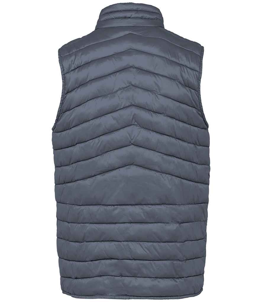 Native Spirit - Light Recycled Bodywarmer - Pierre Francis