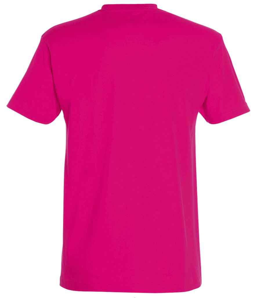 SOL'S - Imperial Heavy T-Shirt - Pierre Francis