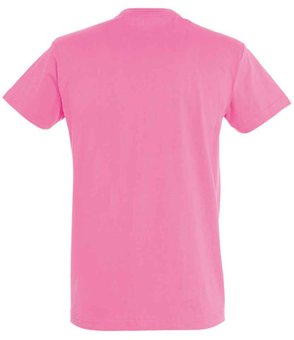 SOL'S - Imperial Heavy T-Shirt - Pierre Francis
