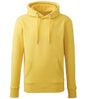 Anthem - Organic Hoodie - Pierre Francis