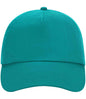 Beechfield - Original 5 Panel Cap - Pierre Francis