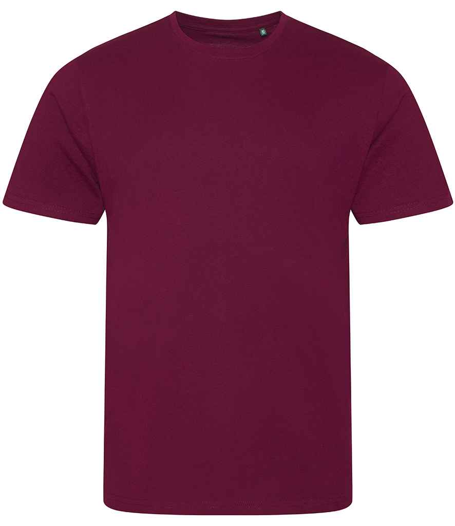 Ecologie - Cascades Organic T-Shirt - Pierre Francis