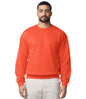 Bluza Gildan Heavy Blend™