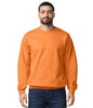 Gildan - SoftStyle® Midweight Crew Neck Sweatshirt - Pierre Francis