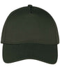 Native Spirit - 5 Panel Cap - Pierre Francis