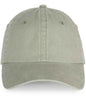 Native Spirit - Faded Cap - Pierre Francis