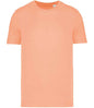 Native Spirit - Unisex T-Shirt - Pierre Francis