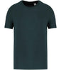 Native Spirit - Unisex T-Shirt - Pierre Francis