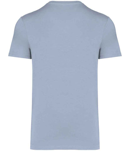 Native Spirit - Unisex Heavyweight T-Shirt - Pierre Francis