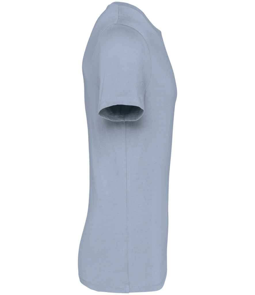 Native Spirit - Unisex Heavyweight T-Shirt - Pierre Francis