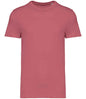 Native Spirit - Unisex Heavyweight T-Shirt - Pierre Francis