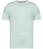 Native Spirit - Unisex Heavyweight T-Shirt - Pierre Francis