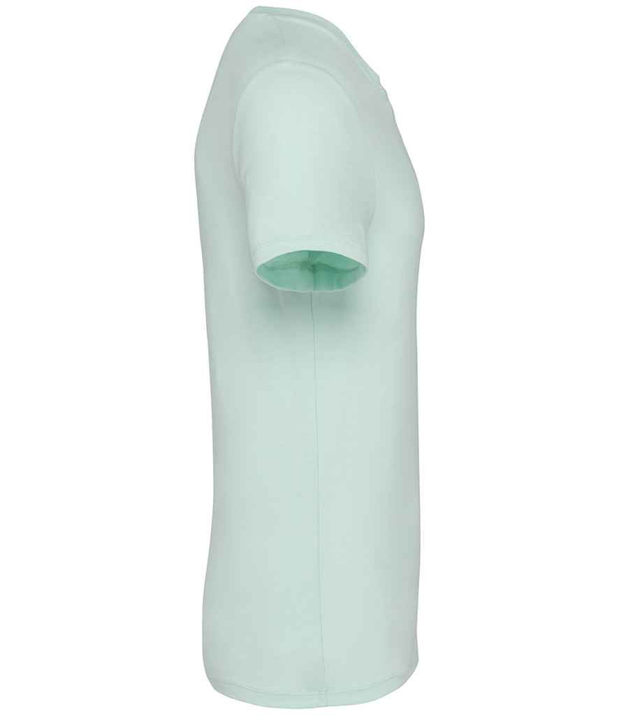 Native Spirit - Unisex Heavyweight T-Shirt - Pierre Francis