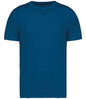 Native Spirit - Unisex Heavyweight T-Shirt - Pierre Francis