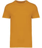 Native Spirit - Unisex Heavyweight T-Shirt - Pierre Francis
