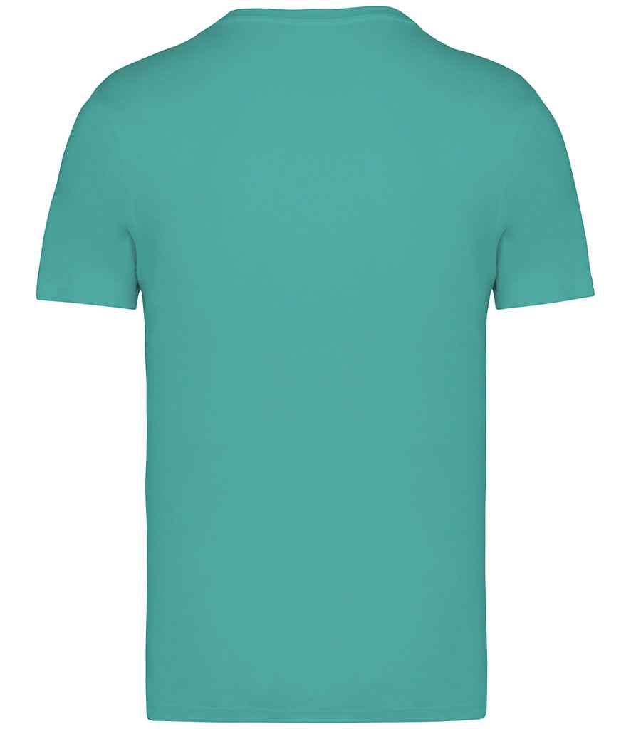 Native Spirit - Unisex Heavyweight T-Shirt - Pierre Francis