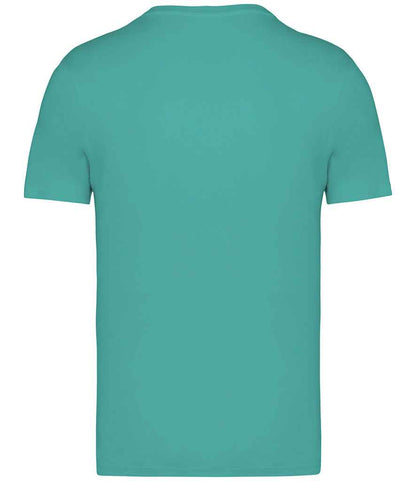 Native Spirit - Unisex Heavyweight T-Shirt - Pierre Francis