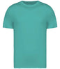 Native Spirit - Unisex Heavyweight T-Shirt - Pierre Francis