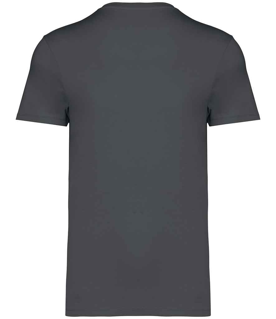 Native Spirit - Unisex Heavyweight T-Shirt - Pierre Francis