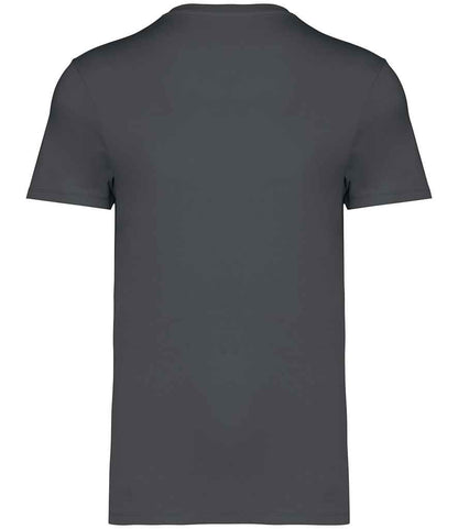 Native Spirit - Unisex Heavyweight T-Shirt - Pierre Francis