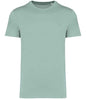 Native Spirit - Unisex Heavyweight T-Shirt - Pierre Francis
