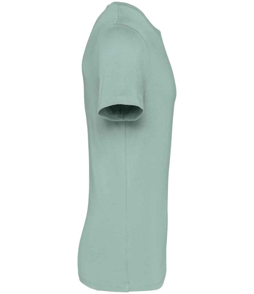 Native Spirit - Unisex Heavyweight T-Shirt - Pierre Francis