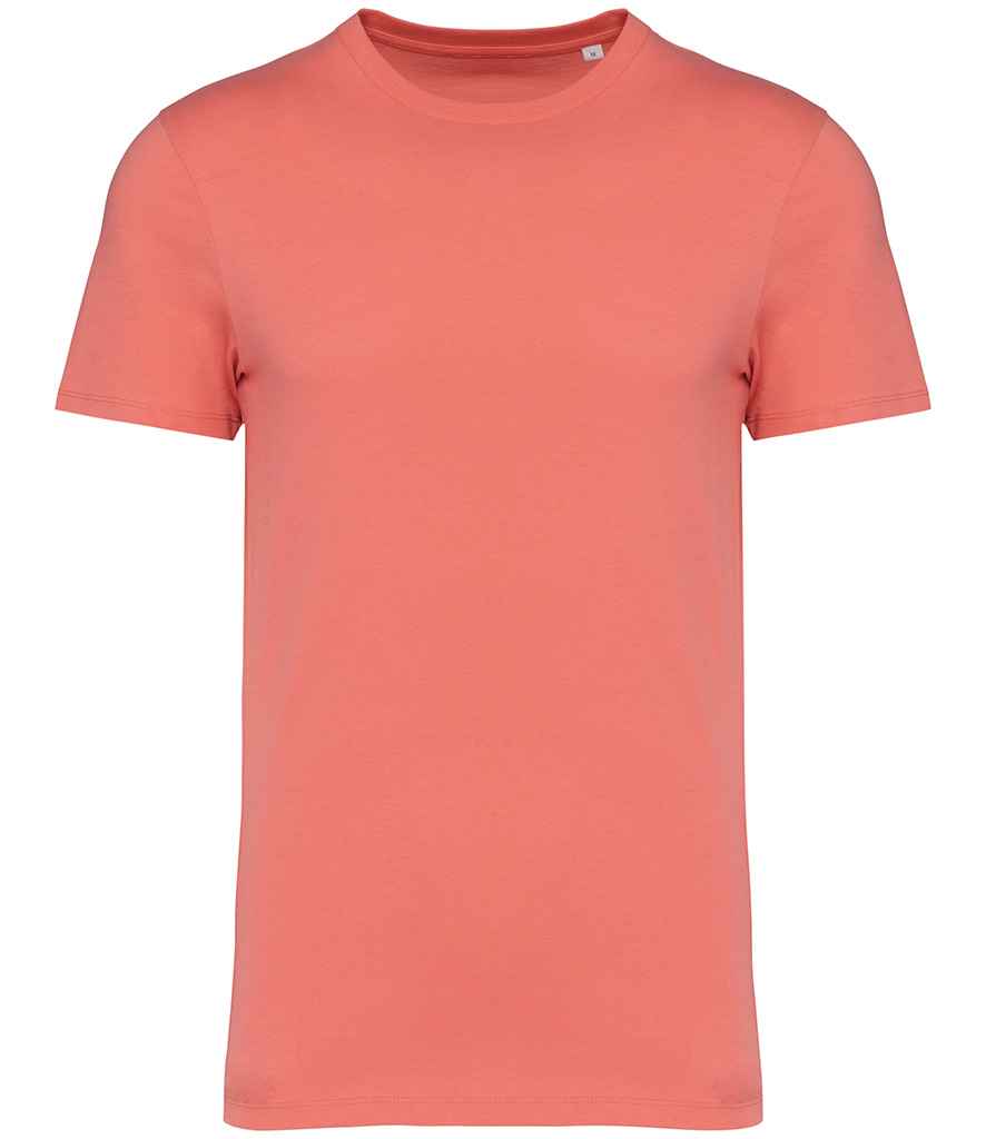 Native Spirit - Unisex Heavyweight T-Shirt - Pierre Francis