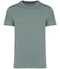 Native Spirit - Unisex Heavyweight T-Shirt - Pierre Francis