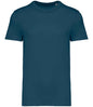 Native Spirit - Unisex Heavyweight T-Shirt - Pierre Francis