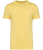 Native Spirit - Unisex Heavyweight T-Shirt - Pierre Francis