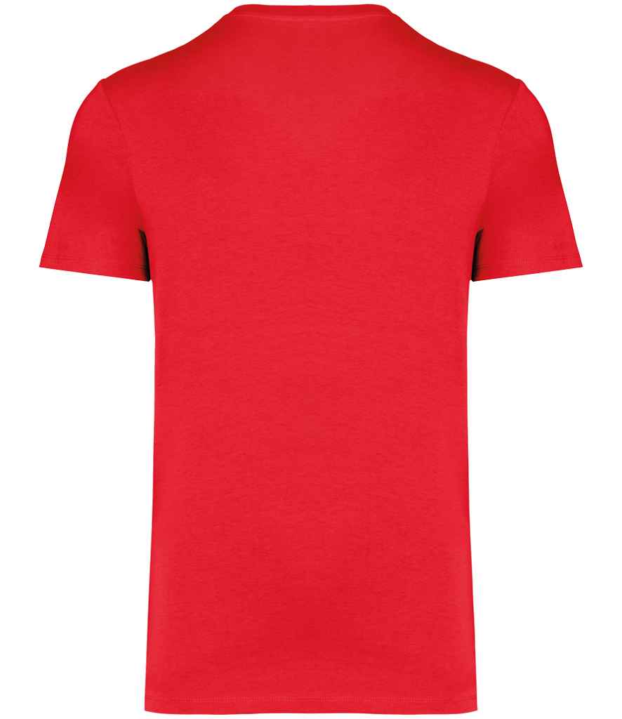 Native Spirit - Unisex Heavyweight T-Shirt - Pierre Francis