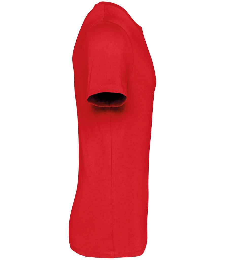 Native Spirit - Unisex Heavyweight T-Shirt - Pierre Francis