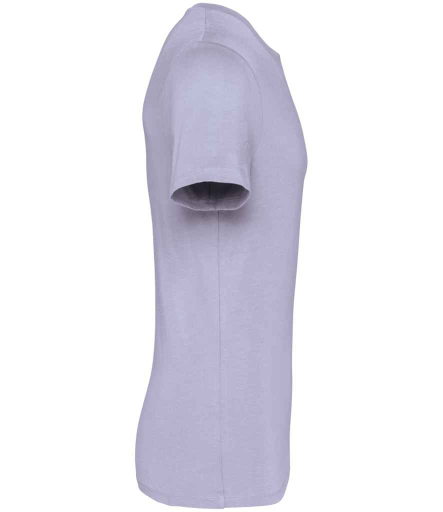 Native Spirit - Unisex Heavyweight T-Shirt - Pierre Francis