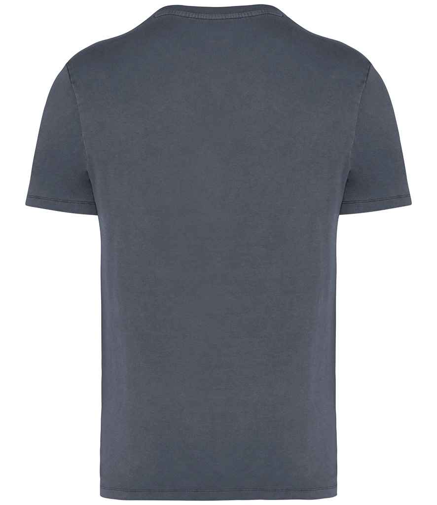 Native Spirit - Unisex Faded T-Shirt - Pierre Francis