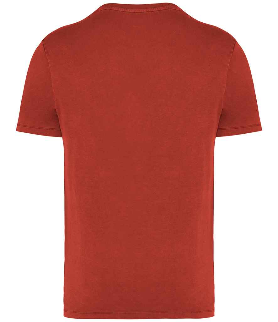 Native Spirit - Unisex Faded T-Shirt - Pierre Francis