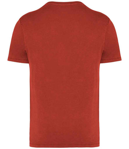 Native Spirit - Unisex Faded T-Shirt - Pierre Francis