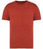 Native Spirit - Unisex Faded T-Shirt - Pierre Francis
