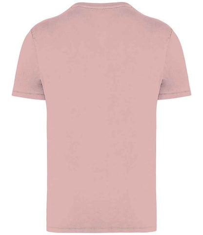 Native Spirit - Unisex Faded T-Shirt - Pierre Francis
