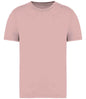 Native Spirit - Unisex Faded T-Shirt - Pierre Francis