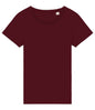 Native Spirit - Ladies T-Shirt - Pierre Francis