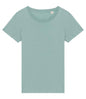 Native Spirit - Ladies T-Shirt - Pierre Francis