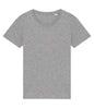 Native Spirit - Ladies T-Shirt - Pierre Francis