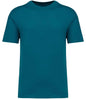 Native Spirit - Unisex Oversized T-Shirt - Pierre Francis