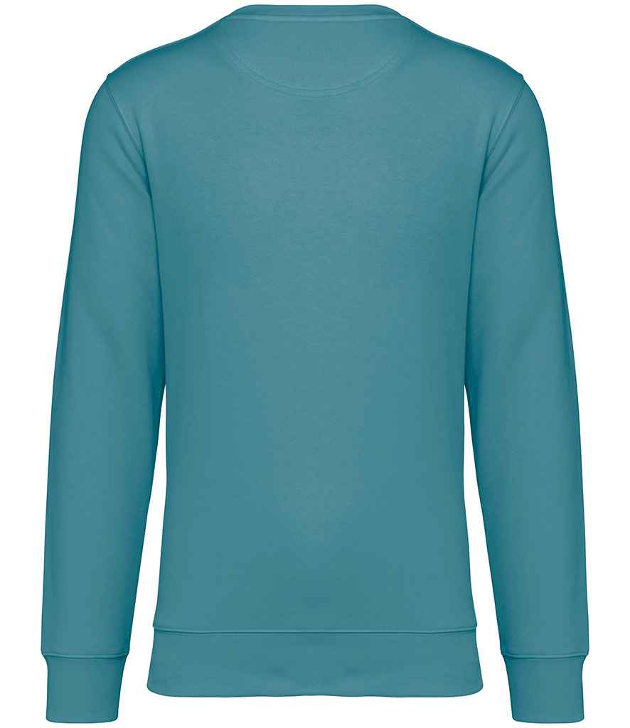 Native Spirit - Unisex Crew Neck Sweatshirt - Pierre Francis