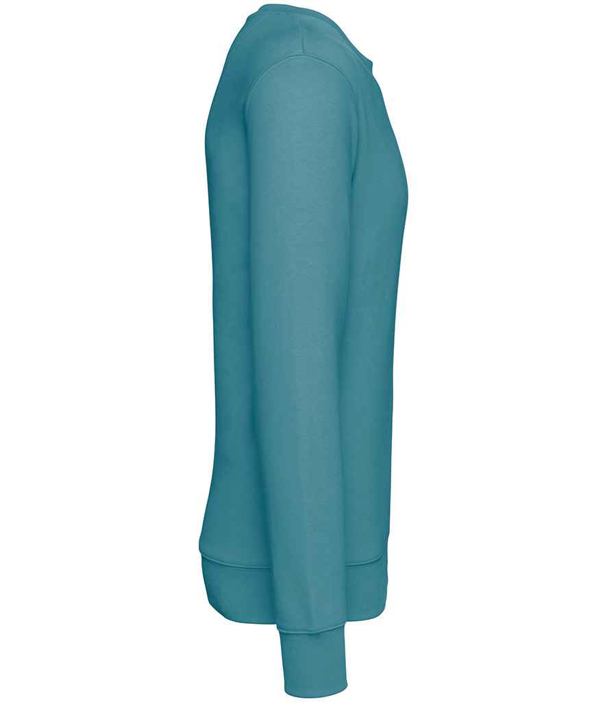 Native Spirit - Unisex Crew Neck Sweatshirt - Pierre Francis