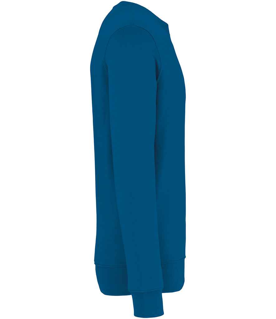 Native Spirit - Unisex Crew Neck Sweatshirt - Pierre Francis