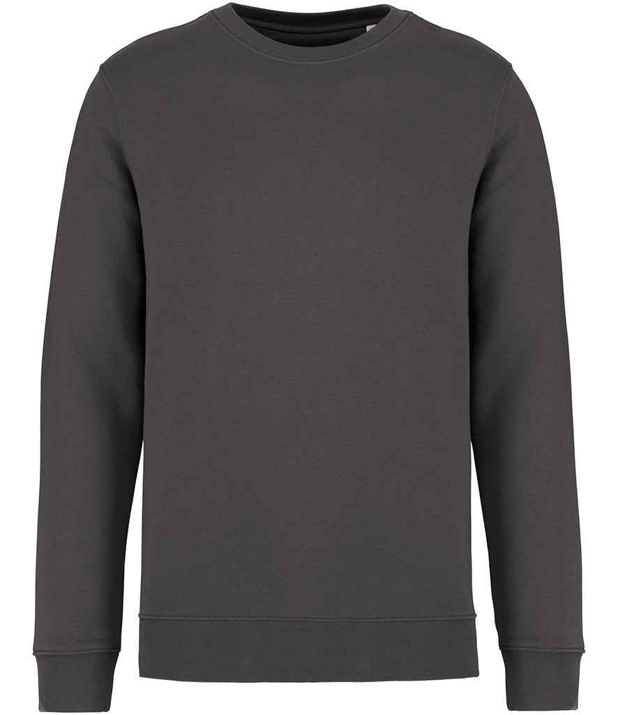 Native Spirit - Unisex Crew Neck Sweatshirt - Pierre Francis