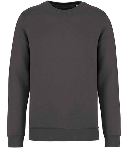 Native Spirit - Unisex Crew Neck Sweatshirt - Pierre Francis